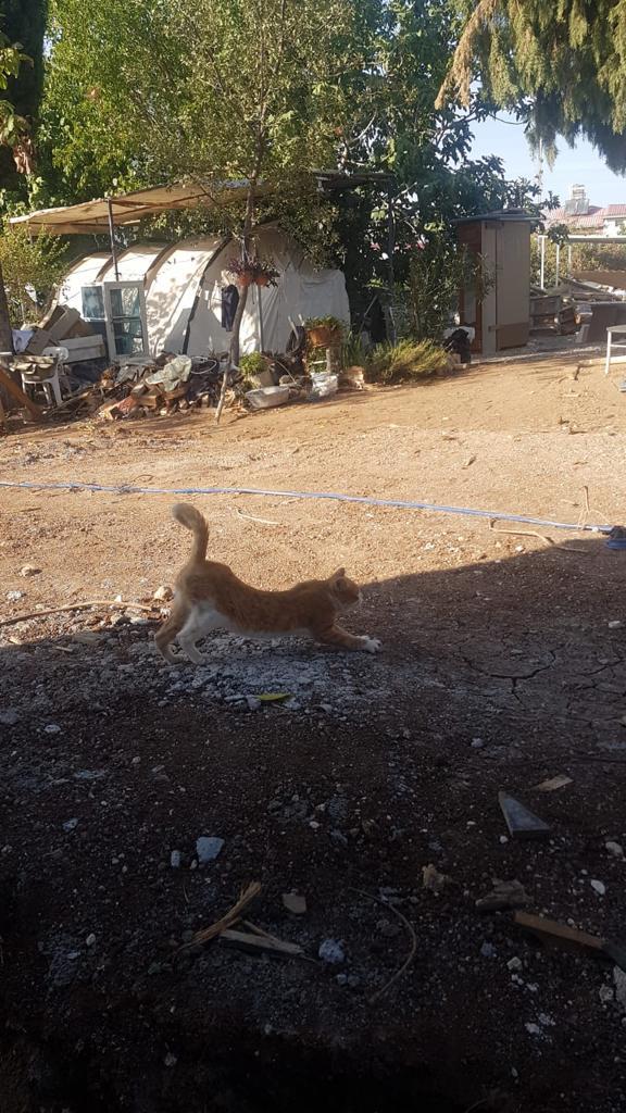 Wiederaufbauarbeiten